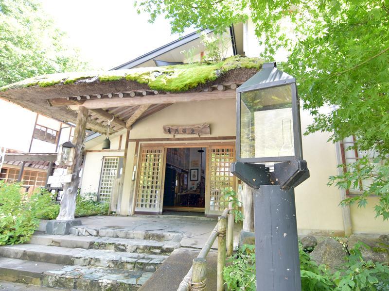 Lamp No Yado Aoni Onsen Hotel Hirakawa Exterior foto